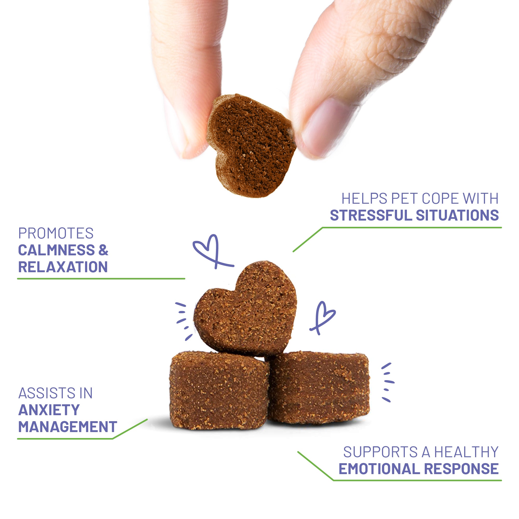 Gentle calming support for dogs - soft chews for separation anxiety, noise & travel stress