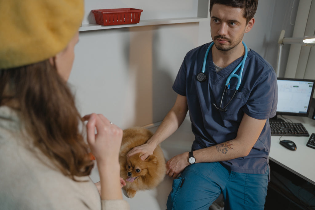 5 Reasons you should have a good relationship with your veterinarian