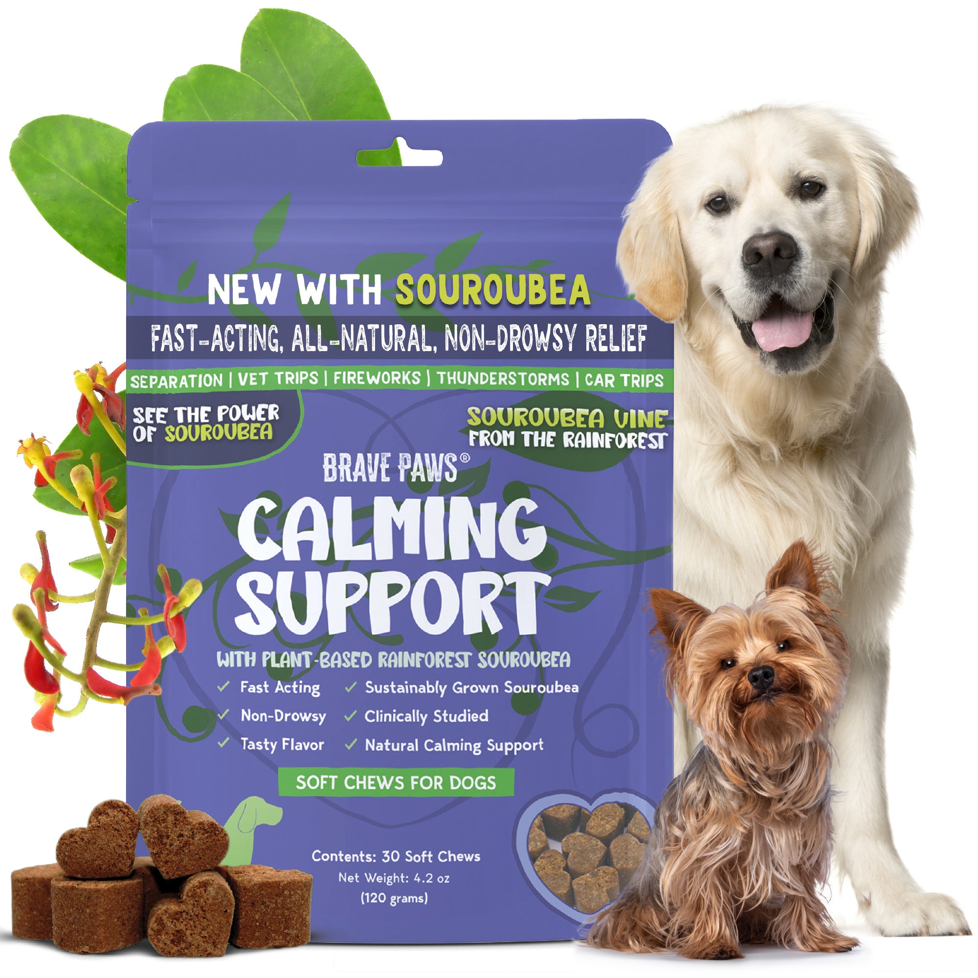 New! Calming Support Chews for Dogs