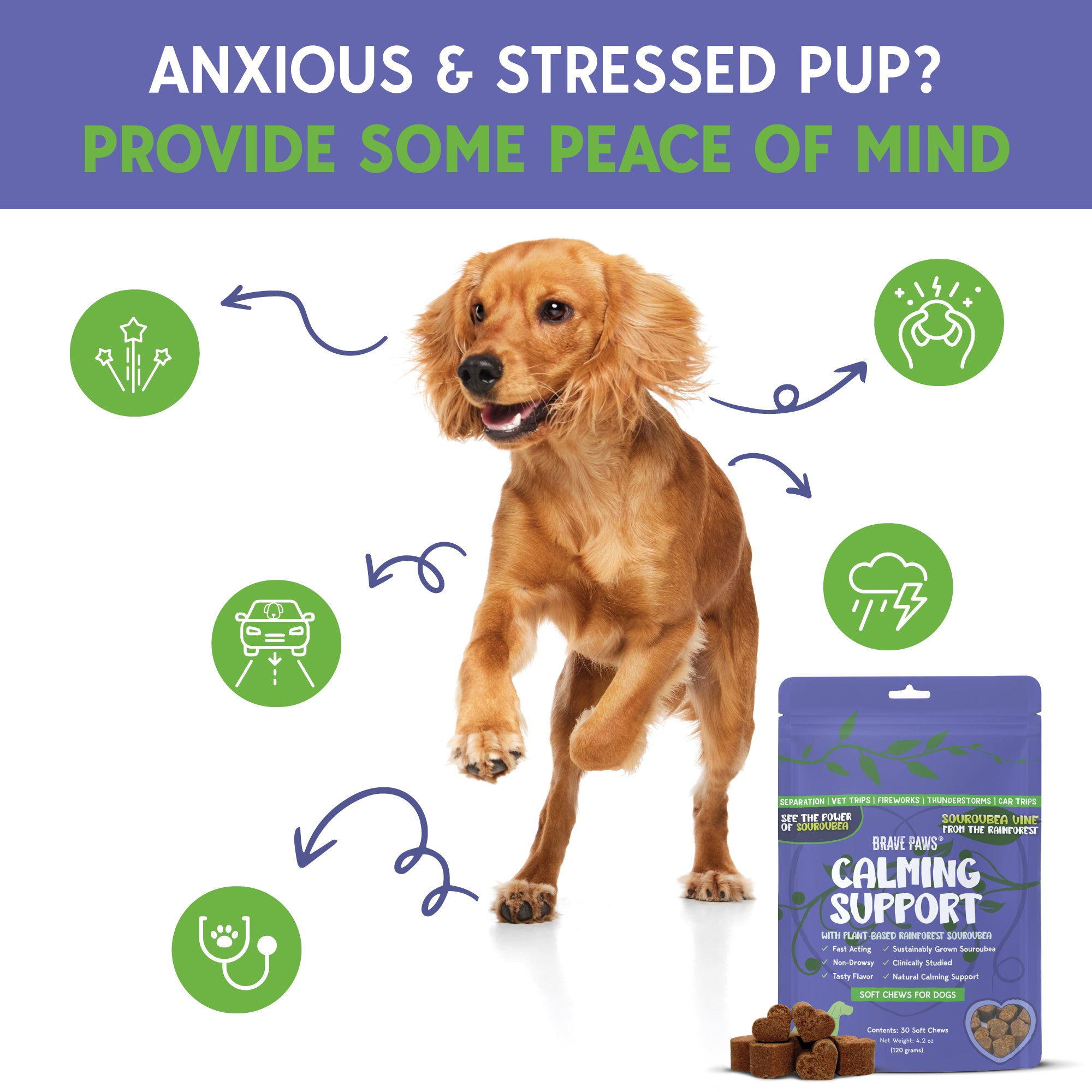 New! Calming Support Chews for Dogs