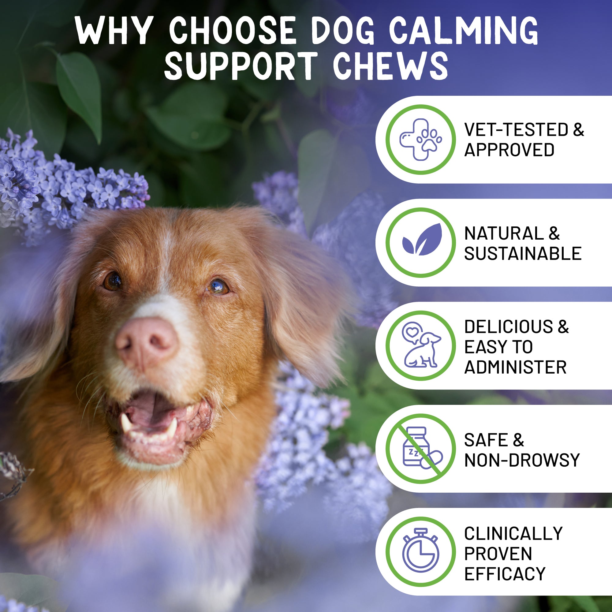 New! Calming Support Chews for Dogs