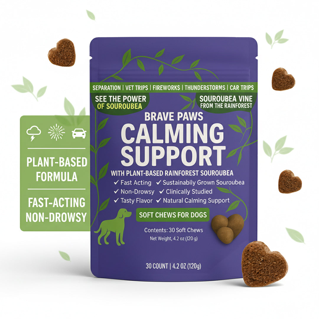 Calming Support Soft Chews