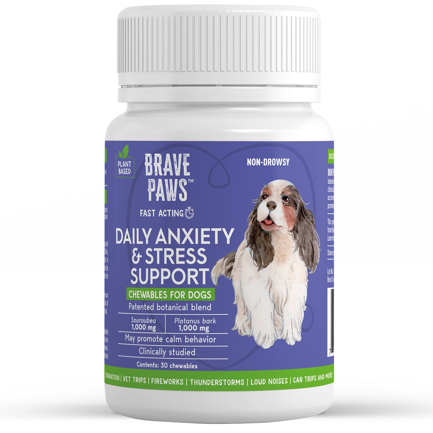 Brave Paws Daily Anxiety and Stress Support